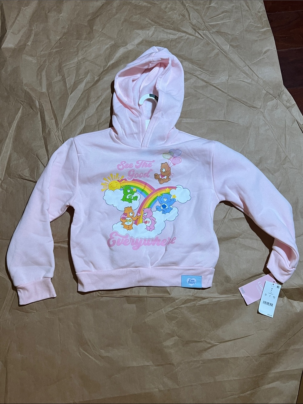 Care Bears Light Pink Girls' Hoodie with Rainbow Graphic